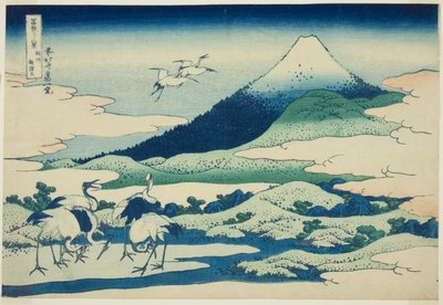 Umezawa Marsh in Sagami Province, from the series 