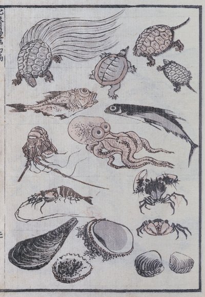 Undersea creatures, from a Manga by Katsushika Hokusai