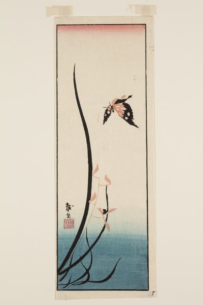 Butterfly and Grass by Katsushika II (fl.1820 50) Taito