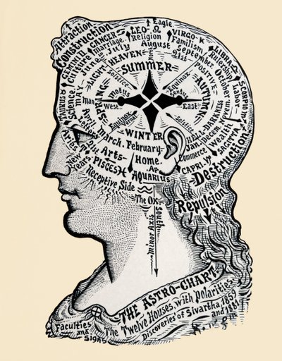 A Chart of the Human Head and Shoulders by Alec Hunter