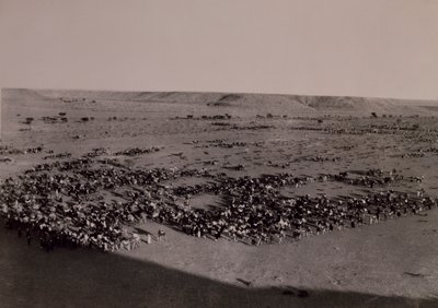 Forward to Brak, Italo-Turkish War, Libya 20th century by Alec Hunter