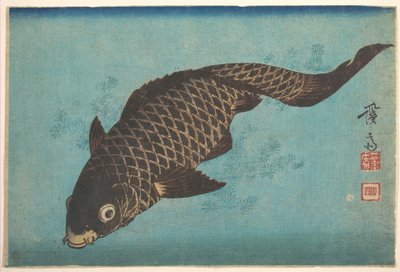 Koi by Keisai Eisen