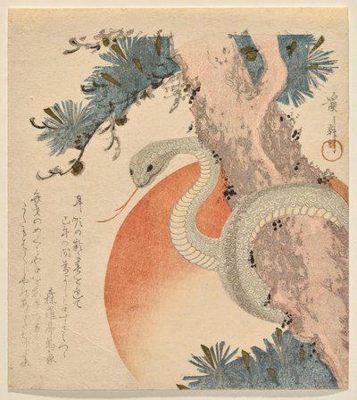 Snake Coiled around a Pine Tree before the Rising Sun by Keisai Eisen