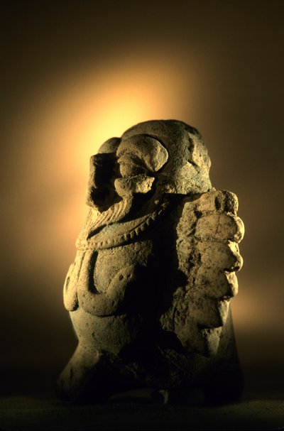 Artifact, Cancuen, Guatemala, Arthur Demarest, Tomas Barrientos, Maya, Palace, Classic Period, 2004 by Kenneth Garrett