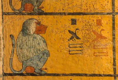Baboon, Wall painting in tomb of King Tutankhamun, KV52, Valley of the Kings, Thebes, 2003 by Kenneth Garrett