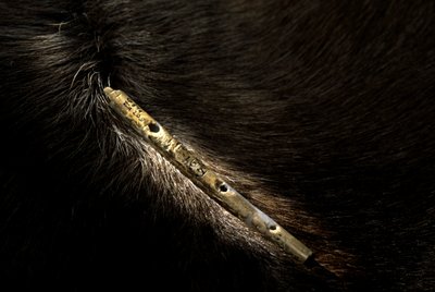 Bone flute from Geissenklosterle, Tubingen, Germany, Eberhard-Karls University by Kenneth Garrett