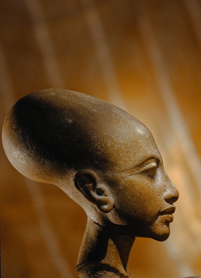 Composite stone head of a princess from Amarna, an extensive Egyptian archaeological site by Kenneth Garrett