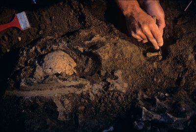 Dmanisi, Georgia, David Lordkipanidze, Homo Erectus by Kenneth Garrett
