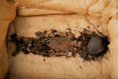 Fetus mummy, child of King Tut, Fetus 1, female, from KV62, Currently at Qasi Aini Hospital, 2009 by Kenneth Garrett