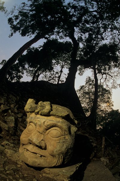 God N, Ceiba tree, temple, Maya, Copan, Honduras, Classic period by Kenneth Garrett