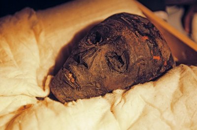 Mummy Head and Face of King Tutankhamun, 2005 by Kenneth Garrett