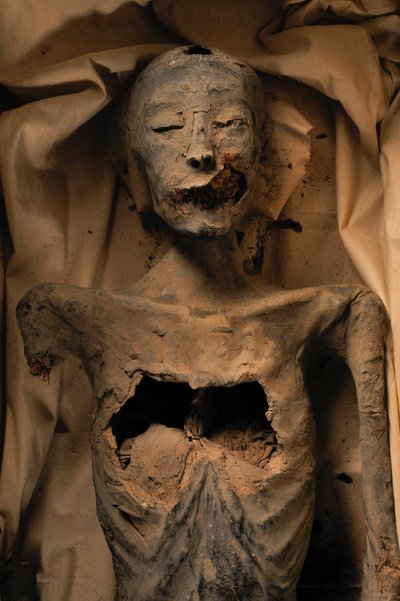 Mummy of King Tut