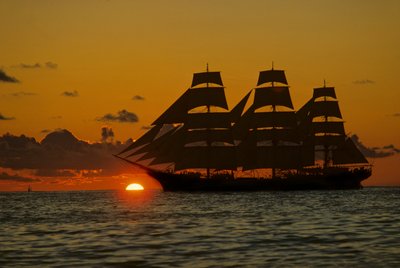 Square Rigger; Dar Pomorza, Sail race, Operation Sail Tall Ships; Sail Training Association by Kenneth Garrett