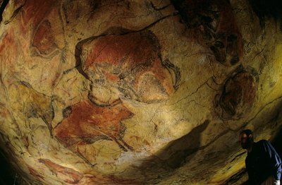 The gallery of bison, Altamira Cave, Spain, 2000 (photo) by Kenneth Garrett