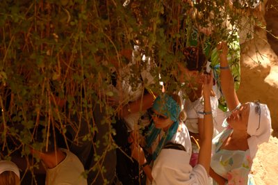 Tourist Touch Branches of the 
