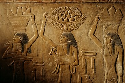 Women carrying bread, bird, goat and produce, tomb of Tiye, Egypt; Old Kingdom; Saqqara by Kenneth Garrett