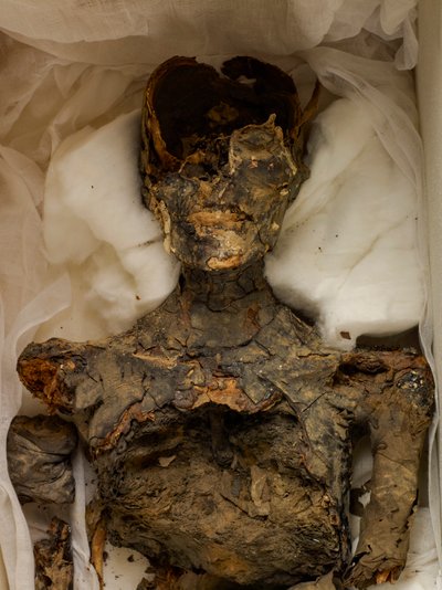 18th Dynasty; New Kingdom; Egypt; The Egyptian Museum; Cairo; Mummy; Valley of the Kings, 2009 by Kenneth Garrett