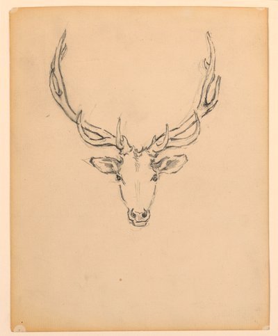 Study of Stag Head by Kenyon Cox