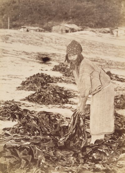 Ainu woman harvesting seaweed by Kenzô Tamoto