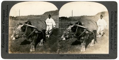 Farming near Seoul, South Korea by Keystone View Company