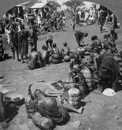 The native market at Port Florence, Lake Victoria, Kenya by Keystone View Company