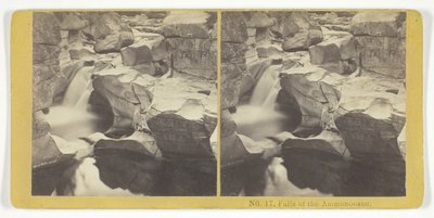 Falls of the Ammonoosuc, 1855-75 by Kilburn Brothers, BW Kilburn