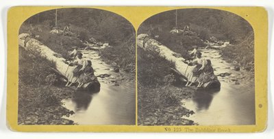 The Babbling Brook, 185575 by Kilburn Brothers, BW Kilburn