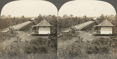 Group of 14 stereographs of Africa and Actors by Kilburn Brothers