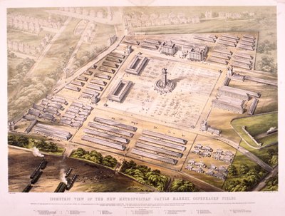Metropolitan Cattle Market, London by King