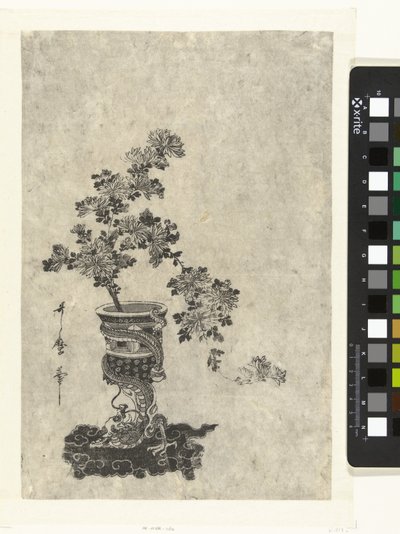 Chrysanthemums in a Vase by Kitagawa Utamaro (attributed to)