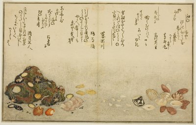 Ashi-gai, Hamaguri, Ko-gai, Suzume-gai, Akoya-gai, and Katashi-gai, from the Illustrated Book "Gifts from the Ebb Tide" by Kitagawa Utamaro