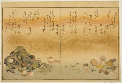 Ashi-gai, hamaguri, ko-gai, suzume-gai, akoya-gai, and katashi-gai, from the illustrated book "Gifts from the Ebb Tide" by Kitagawa Utamaro