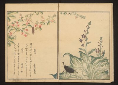 Basketworm and Helmetbeetle on Bush Clover and Stone-Leek Flower by Kitagawa Utamaro
