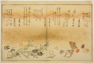 Beni-gai, Hora-gai, Urauzu-gai, Wasure-gai, Chiyonohana-gai, and Masuho-gai, from the Illustrated Book 