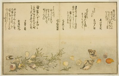 Beni-gai, Hora-gai, Urauzu-gai, Wasure-gai, Chiyonohana-gai, and Masuho-gai, from the Illustrated Book 