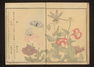 Butterflies and dragonfly near poppies by Kitagawa Utamaro