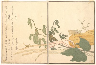 Cone-headed Grasshopper or Locust, (batta); Praying Mantis (Tōrō or Kamakiri), from the Picture Book of Crawling Creatures (Ehon mushi erami) by Kitagawa Utamaro