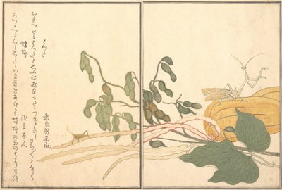 Cone-headed Grasshopper or Locust, Praying Mantis by Kitagawa Utamaro