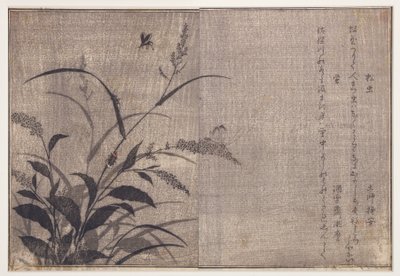 Cricket and Fireflies, 1788 by Kitagawa Utamaro