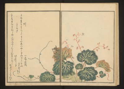 Earthworm and Black Cricket on Creeping Saxifrage by Kitagawa Utamaro