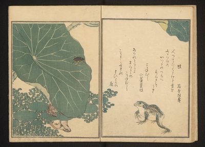 Frogs and Gold Bug Near Lotus by Kitagawa Utamaro