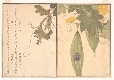 Grasshopper (Kirigirisu); Cicada (Semi), from the Picture Book of Crawling Creatures (Ehon mushi erami) by Kitagawa Utamaro