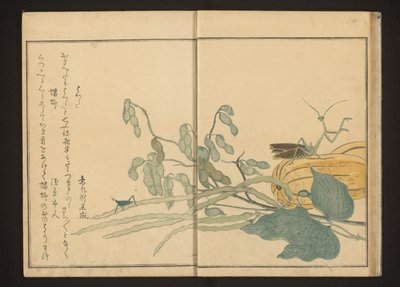 Grasshopper on Bean and Praying Mantis on Melon by Kitagawa Utamaro