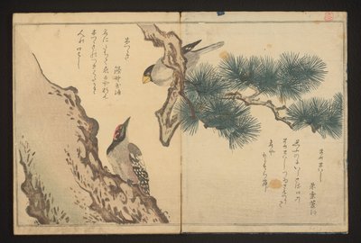 Grosbeak and Woodpecker by Kitagawa Utamaro