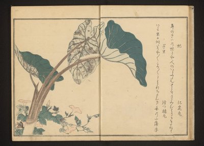 Horsefly on Bindweed and Caterpillar on Taro Plant by Kitagawa Utamaro