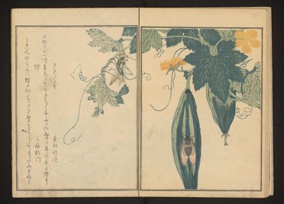Katydid and Cicada on Gourd by Kitagawa Utamaro