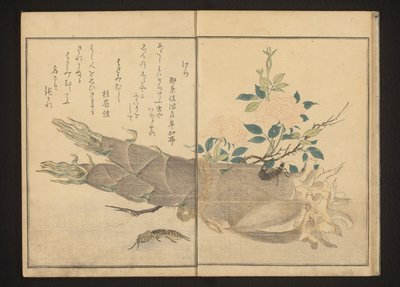 Mole Cricket and Earwig on Bamboo Shoot by Kitagawa Utamaro