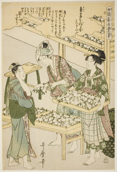 No. 6 (roku), from the series 