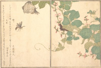 Paper Wasp Hachi, Hairy Caterpillar Kemushi..., 1788 by Kitagawa Utamaro