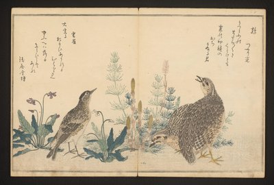Quail and Skylark by Kitagawa Utamaro